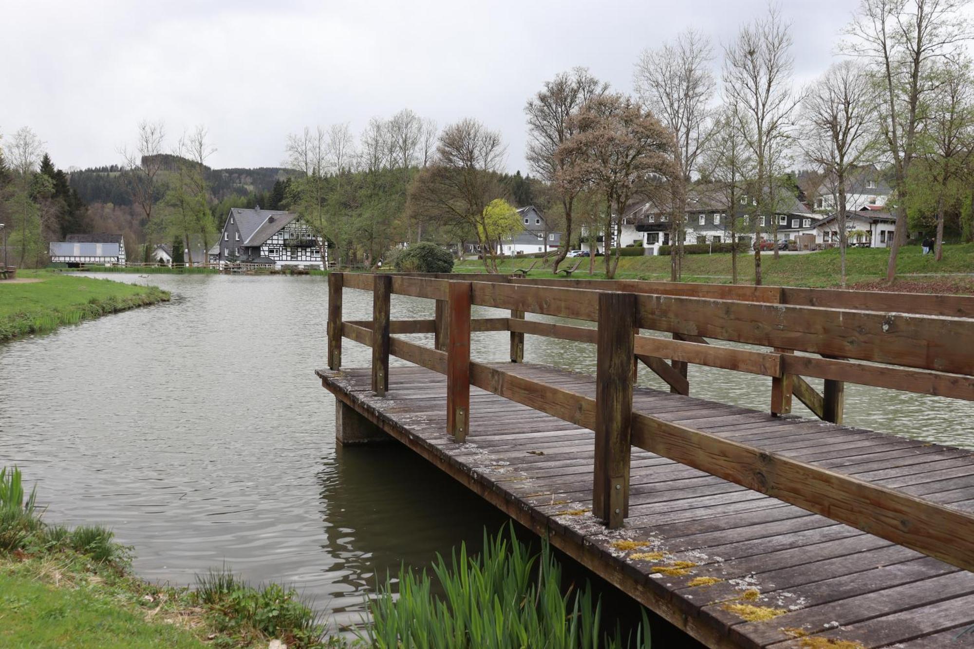 Direkt Am See Winterberg Elkeringhausen Exteriör bild